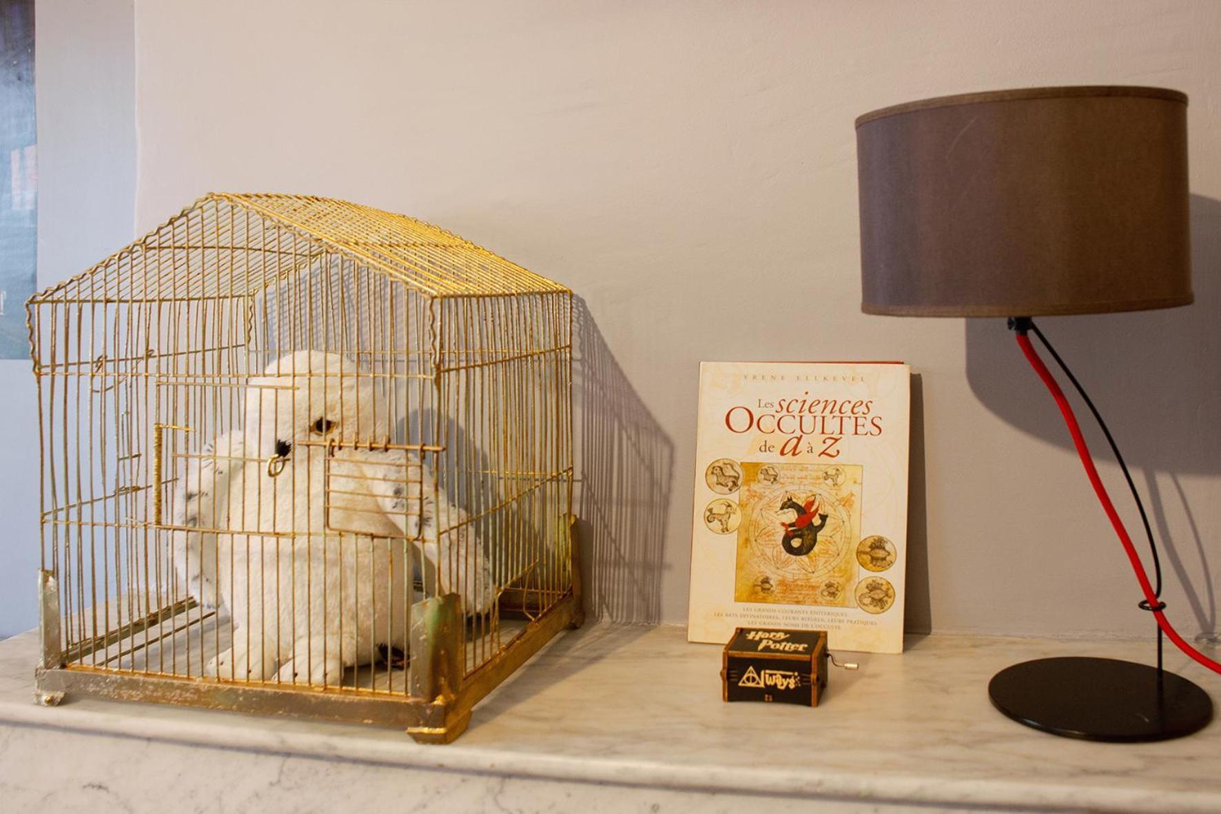 Apartment Harry Potter A La *